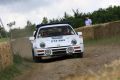Lots of legends like the Ford RS200 (Photo by Marc Waller)