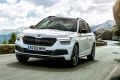 Skoda Kamiq on-line real-time tour with a brand expert