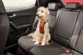 SEAT's dog-gone travel advice - do I look good in this